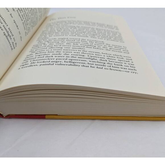 The Book Of Sorrows By Walter Wangerin, Jr Vintage Hardcover First Edition 1985 - Picture 4 of 15